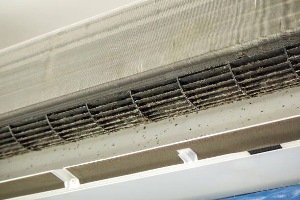 Best Ductwork Cleaning Services  in Manheim, PA